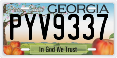 GA license plate PYV9337