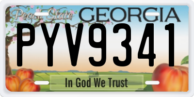 GA license plate PYV9341