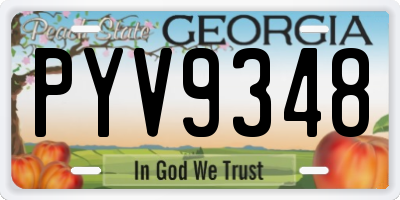 GA license plate PYV9348