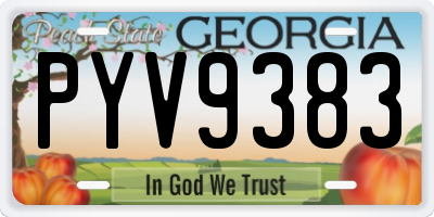 GA license plate PYV9383