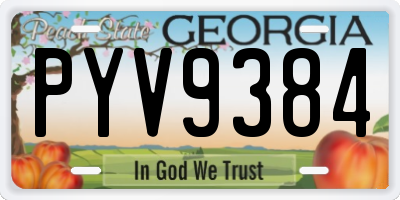 GA license plate PYV9384
