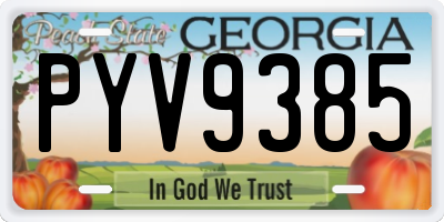 GA license plate PYV9385