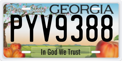 GA license plate PYV9388