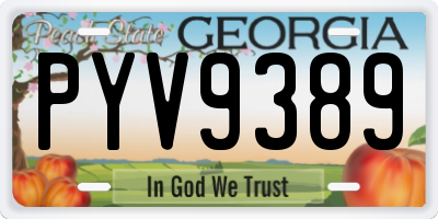 GA license plate PYV9389