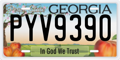 GA license plate PYV9390