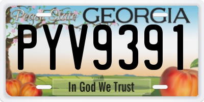 GA license plate PYV9391