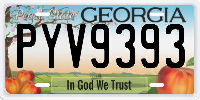 GA license plate PYV9393