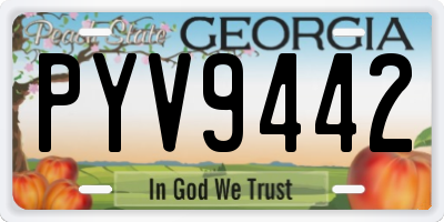 GA license plate PYV9442
