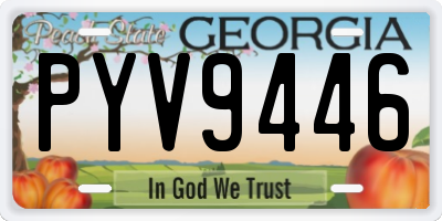 GA license plate PYV9446