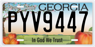 GA license plate PYV9447