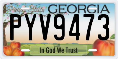 GA license plate PYV9473