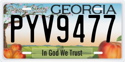 GA license plate PYV9477