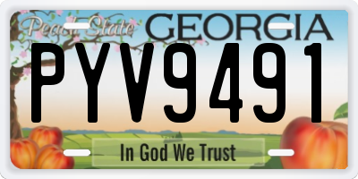 GA license plate PYV9491