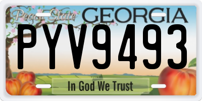 GA license plate PYV9493