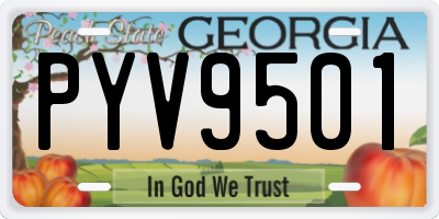 GA license plate PYV9501