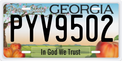 GA license plate PYV9502