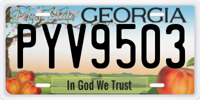 GA license plate PYV9503