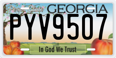 GA license plate PYV9507