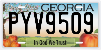 GA license plate PYV9509