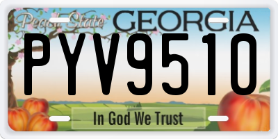 GA license plate PYV9510