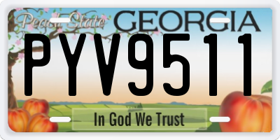 GA license plate PYV9511