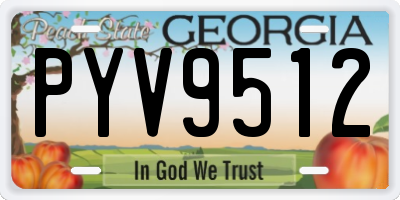 GA license plate PYV9512
