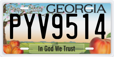 GA license plate PYV9514