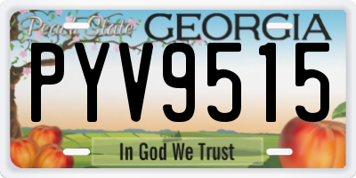 GA license plate PYV9515