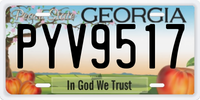 GA license plate PYV9517