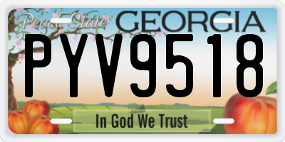 GA license plate PYV9518