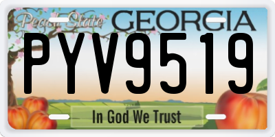 GA license plate PYV9519