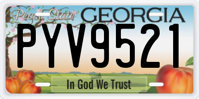 GA license plate PYV9521