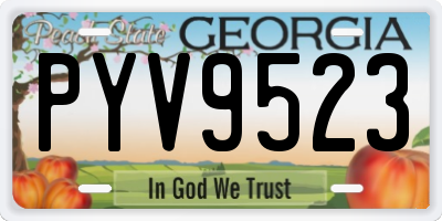 GA license plate PYV9523