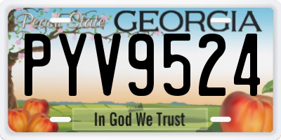 GA license plate PYV9524