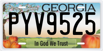 GA license plate PYV9525