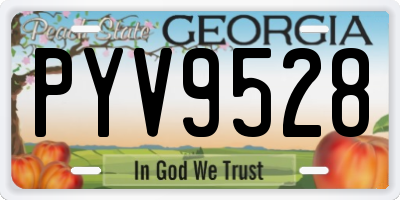 GA license plate PYV9528