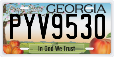 GA license plate PYV9530