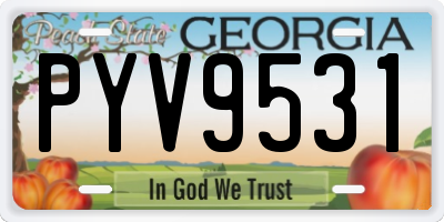 GA license plate PYV9531