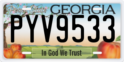GA license plate PYV9533