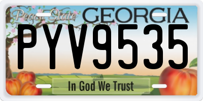 GA license plate PYV9535