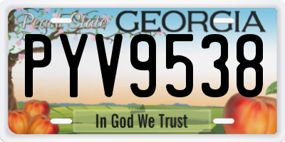 GA license plate PYV9538