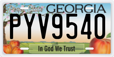 GA license plate PYV9540