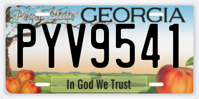 GA license plate PYV9541