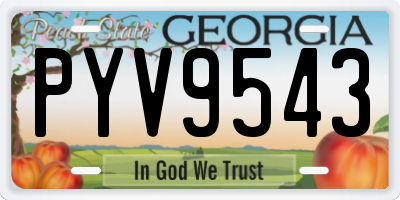 GA license plate PYV9543