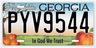 GA license plate PYV9544