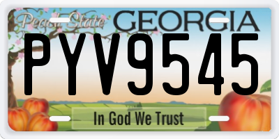 GA license plate PYV9545