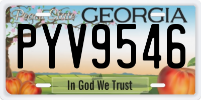 GA license plate PYV9546