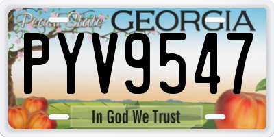 GA license plate PYV9547