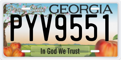 GA license plate PYV9551