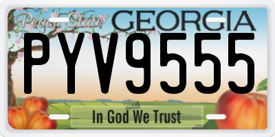 GA license plate PYV9555